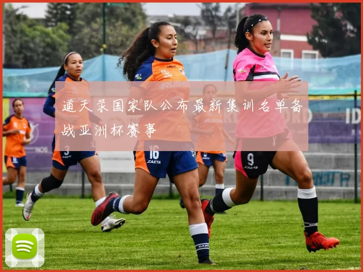 道天录国家队公布最新集训名单备战亚洲杯赛事